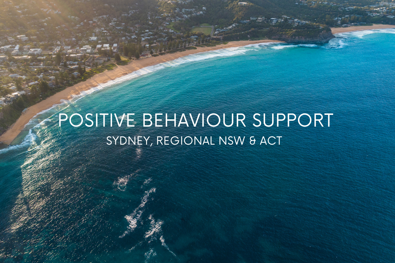 Article positive behaviour support australia act